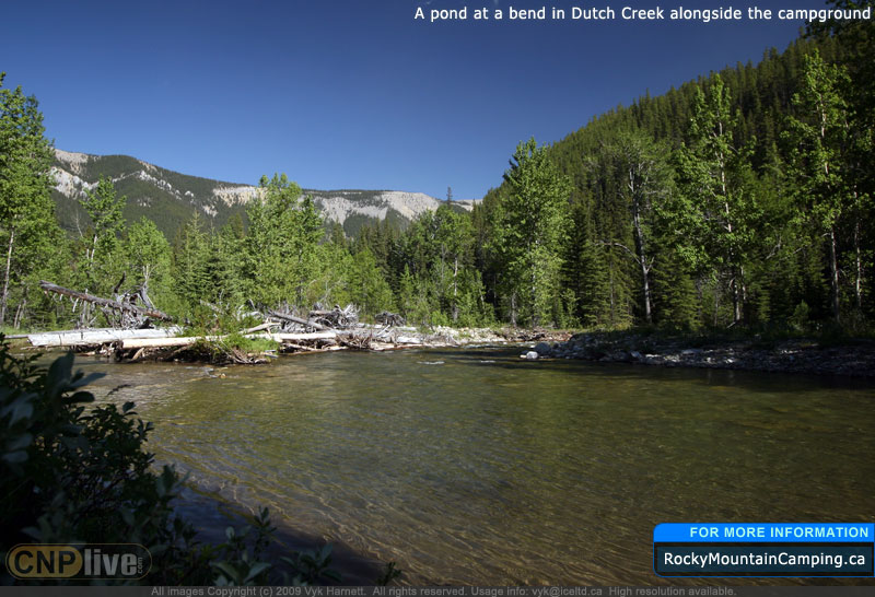 A pond at a bend in Dutch Creek alongside the campground