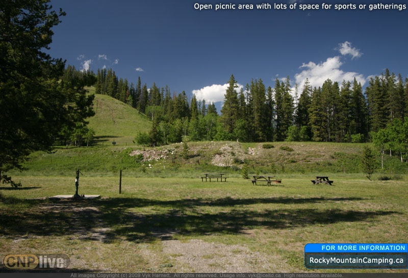 Open picnic area with lots of space for sports or gatherings