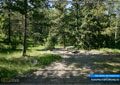 A sunny campsite surrounded by trees at the Dutch Creek campground