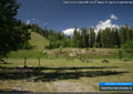 Open picnic area with lots of space for sports or gatherings