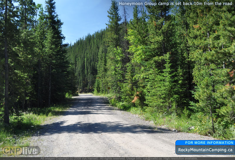 Honeymoon Group camp is set back 10m from the road