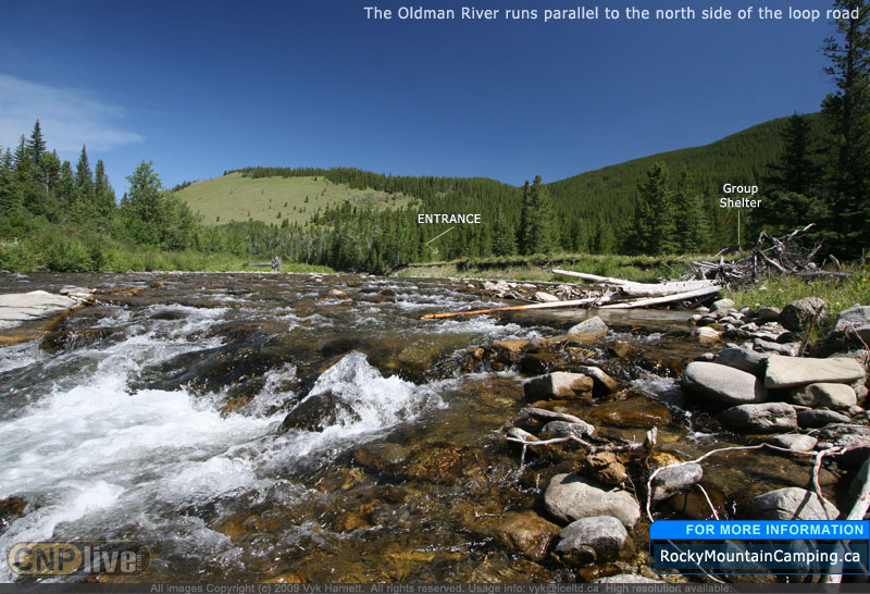 The Oldman River runs parallel to the north side of the loop road