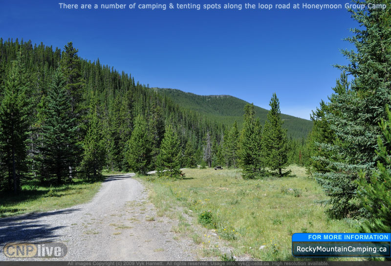 There are a number of camping & tenting spots along the loop road at Honeymoon Group Camp
