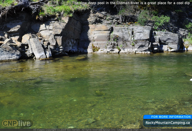 The slow deep pool in the Oldman River is a great place for a cool dip