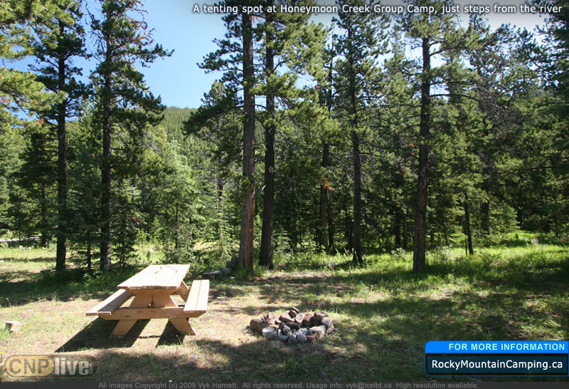 A tenting spot at Honeymoon Creek Group Camp, just steps from the river