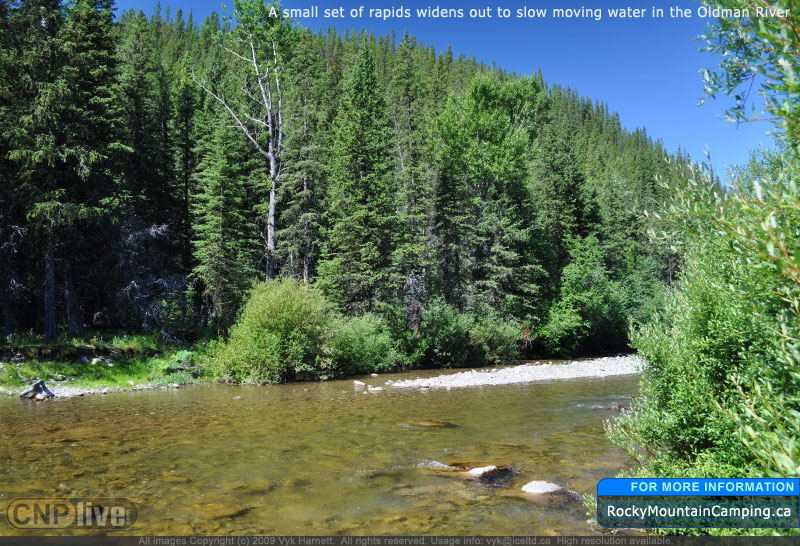 A small set of rapids widens out to slow moving water in the Oldman River