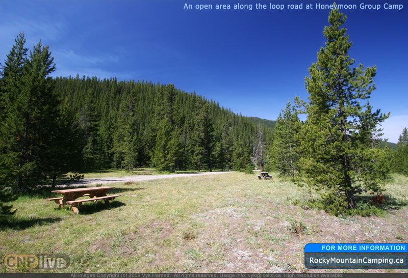An open area along the loop road at Honeymoon Group Camp