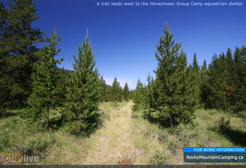 A trail leads west to the Honeymoon Group Camp equestrian shelter