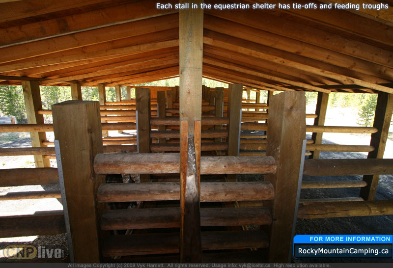 Each stall in the equestrian shelter has tie-offs and feeding troughs