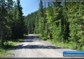 Honeymoon Group camp is set back 10m from the road
