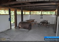 The group shelter has a wood-burning stove and plexiglass covered windows
