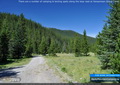 There are a number of camping & tenting spots along the loop road at Honeymoon Group Camp