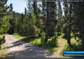 Small trails criss-cross the area, connecting to campsites and the river