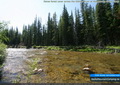 Dense forest cover across the Oldman River at Honeymoon Group Camp
