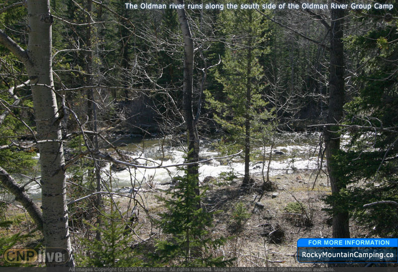 The Oldman River runs along the south side of the Oldman River Group Camp
