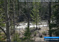The Oldman River runs along the south side of the Oldman River Group Camp