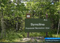 The forest growth around the Syncline Group camps is a mix of poplar and fir