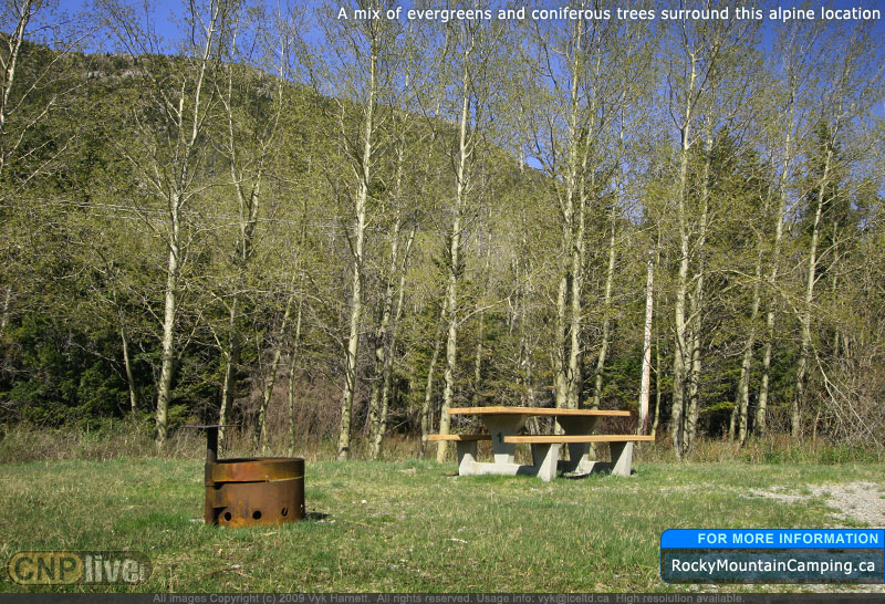 A mix of evergreens and coniferous trees surround this alpine location