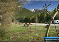 Located just off Highway 3, the Island Lake Campground is great for travellers