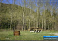 A mix of evergreens and coniferous trees surround this alpine location