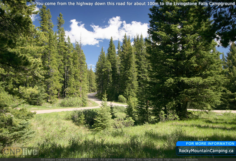 You come from the highway down this road for about 100 metres to the Livingstone Falls Campground