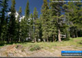 Camping sites above the Livingstone Falls