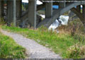 The bridge girders criss-cross the view of Lundbreck Falls