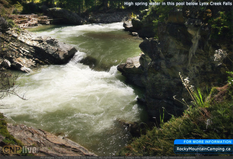 High spring water in this pool below Lynx Creek Falls