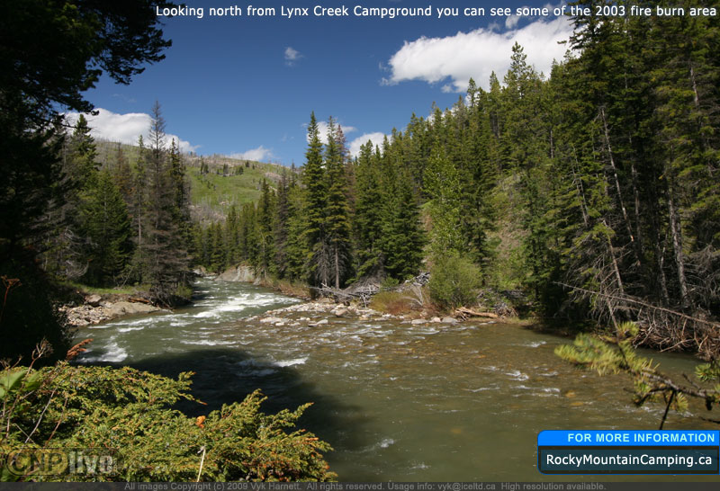 Looking north from Lynx Creek Campground you can see some of the 2003 fire burn area