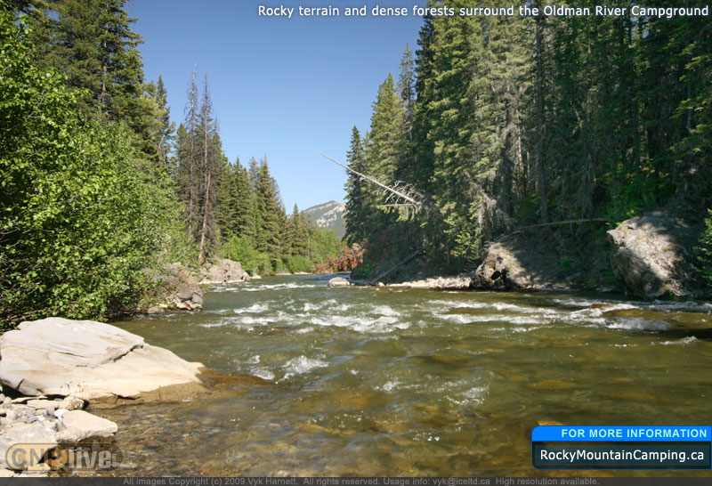 Rocky terrain and dense forests surround the Oldman River Campground