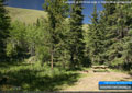 A campsite at the forest edge at Oldman River Campground