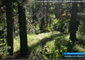 There are several paths to the river at Oldman River Campground