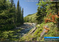 The Oldman River, looking north from the campground