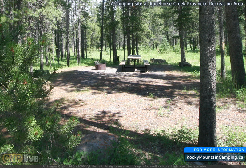 A camping site at Racehorse Creek Provincial Recreation Area