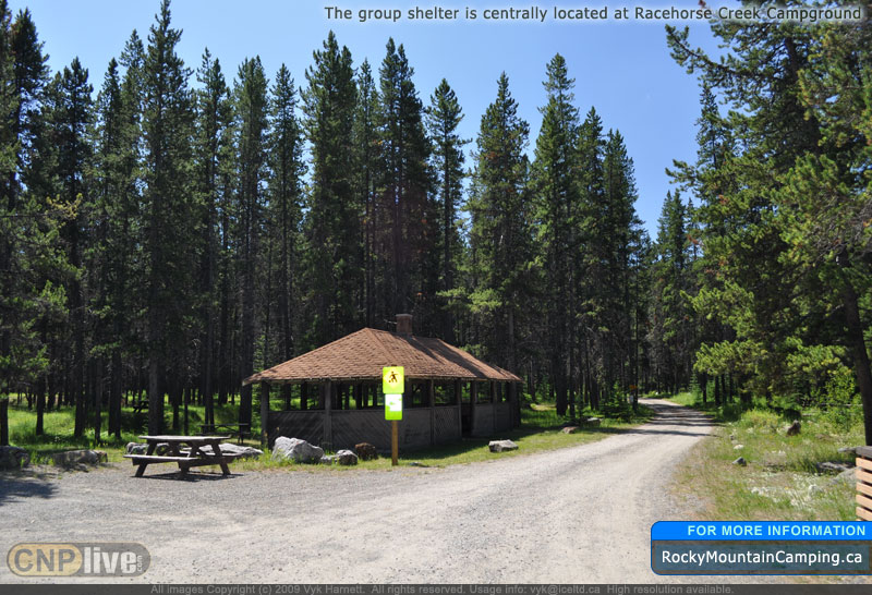A group firepit and many picnic tables surround the group shelter