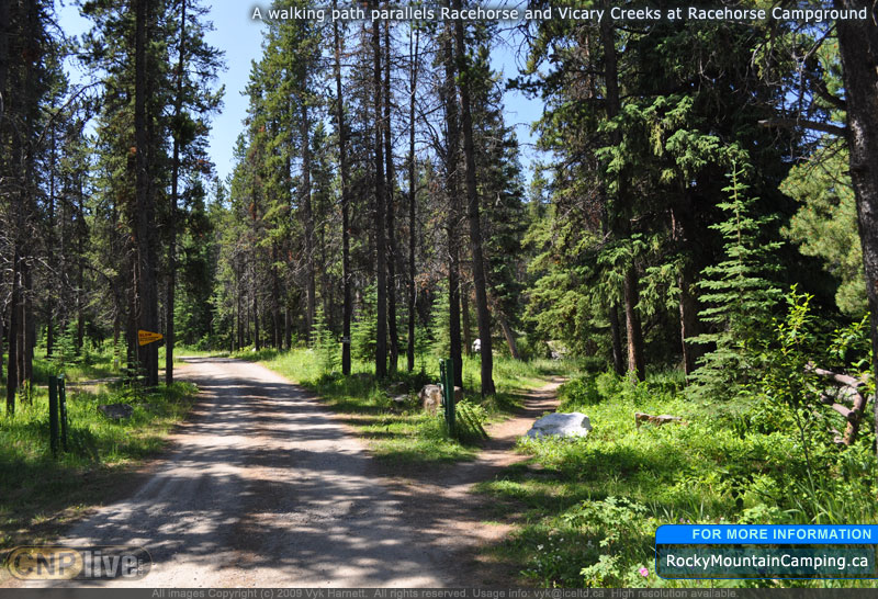 A walking path parallels Racehorse and Vicary Creeks at Racehorse Campground