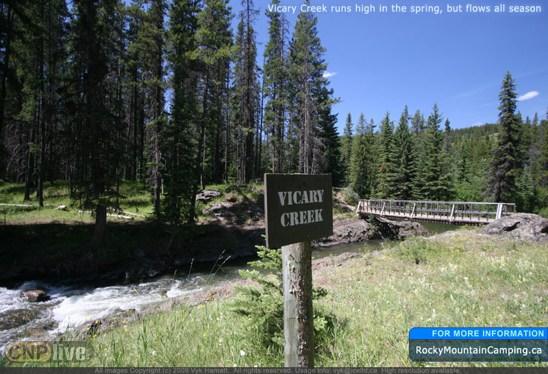 Vicary Creek runs high in the spring, but flows all season