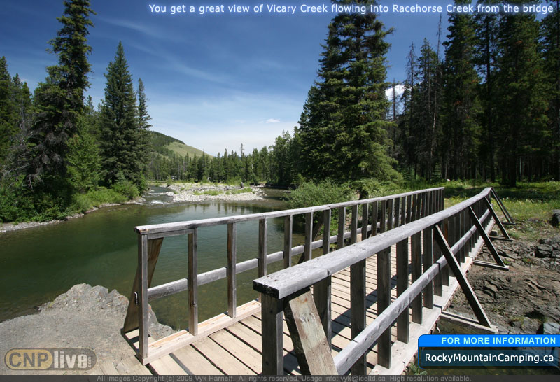 You get a great view of Vicary Creek flowing into Racehorse Creek from the bridge