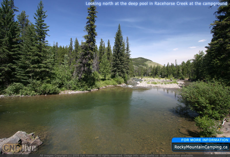 Looking north at the deep pool in Racehorse Creek at the campground