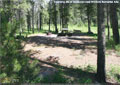 A camping site at Racehorse Creek Provincial Recreation Area