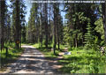A walking path parallels Racehorse and Vicary Creeks at Racehorse Campground