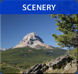 Scenery