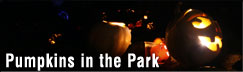Pumpkins in the Park